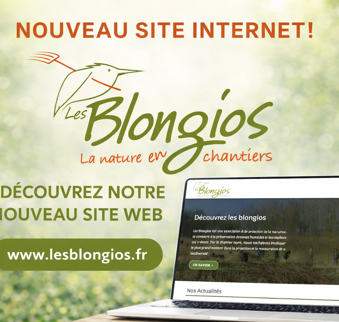 Nouveau site internet!
